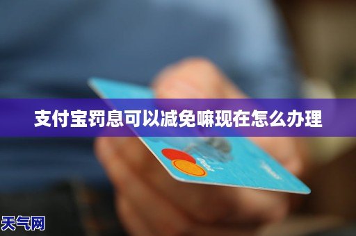 支付宝罚息太高了可以减免吗