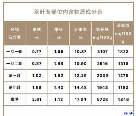 茶叶的营养成分及其对人体健的影响：四大营养成分表解析