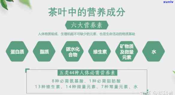 茶叶的营养成分及其对人体健的影响：四大营养成分表解析