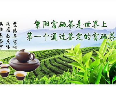 '     富硒茶属于什么茶：陕西     茶的档次和特性分析'