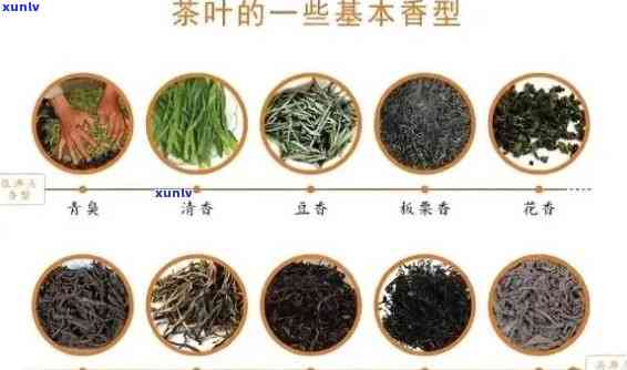 代新茶品：探索当时独特的茶叶形态与饮用方式