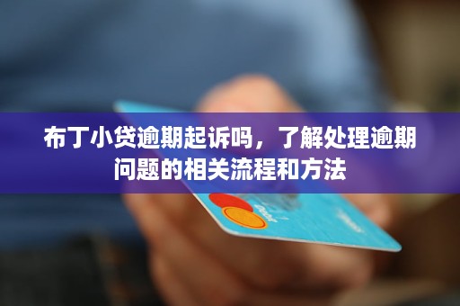 小额贷逾期起诉后会怎样处理