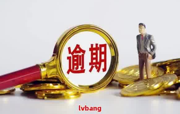 金融逾期怎么处理应该注意哪些事项