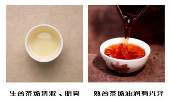 减肥可以喝玫瑰普洱茶吗