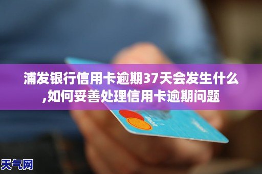 天津银行信用卡逾期一天会怎样处罚