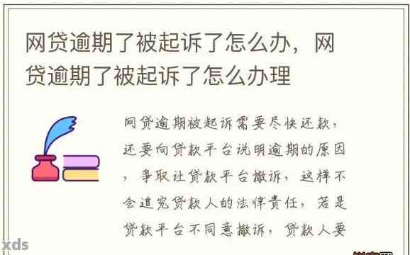 网贷逾期会在哪里起诉借款人