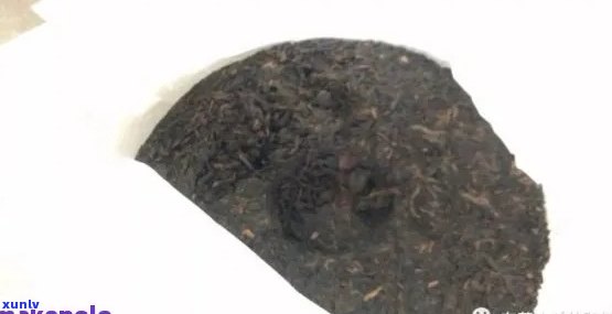 普洱茶虫蛀现象详解：原因、检测与处理方法，让普洱茶远离虫蛀困扰