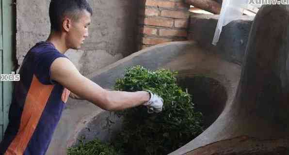 杀青提香普洱茶的制作过程及特点，能否饮用以及与其他茶叶的区别