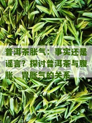 普洱茶饮用后引发的肠胃胀气问题探讨