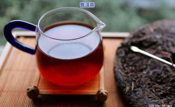 普洱茶冬茶好吗怎么泡：掌握正确方法，品味极致醇香