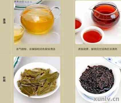 了解云南普洱茶的分类与特点： An Overview  第5张