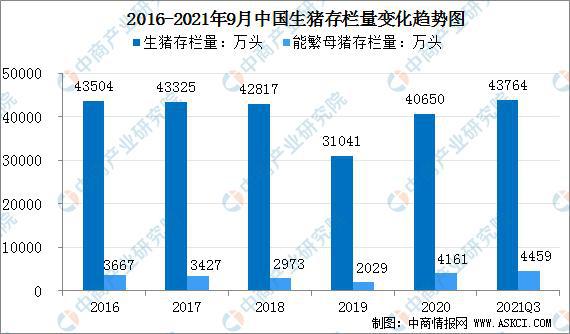 普洱茶每亩产量：影响因素、种植技术与收益分析