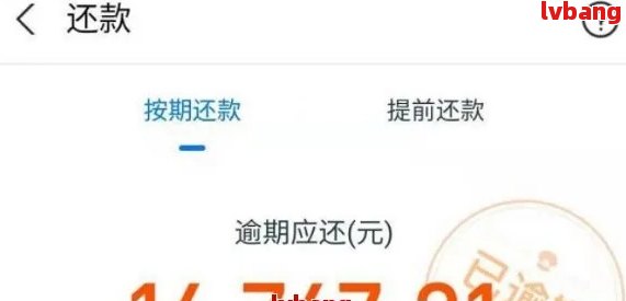 支付宝借款10万逾期1年