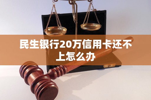 民生银行欠信用卡20万