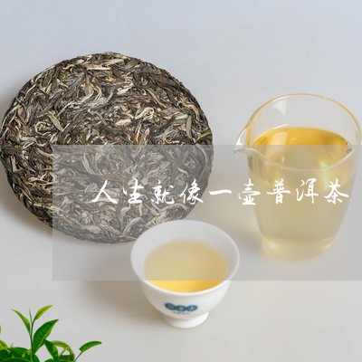 生活就像一杯普洱茶