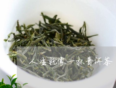 生活就像一杯普洱茶