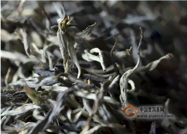 勐海老班章茶厂官网：品质越的云南普洱茶与传承百年的制茶工艺