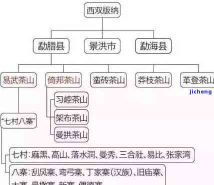 福建普洱茶的产地及其地理特点：探寻这片茶叶的发源地