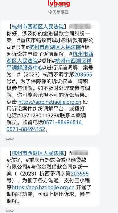 网贷被起诉了怎么办