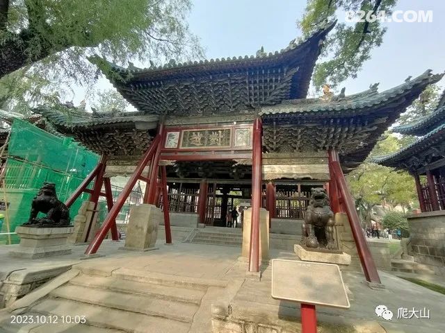 新 '揭秘茶运网的普洱茶：源自名山古寺，品味历风华'