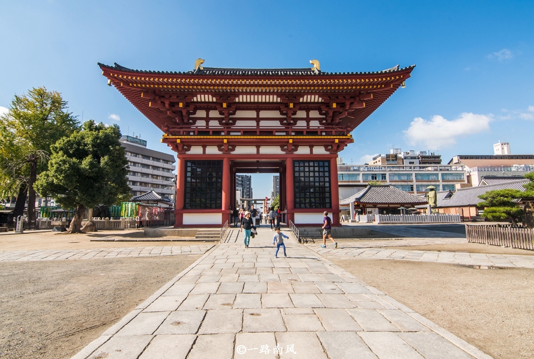 新 '揭秘茶运网的普洱茶：源自名山古寺，品味历风华'