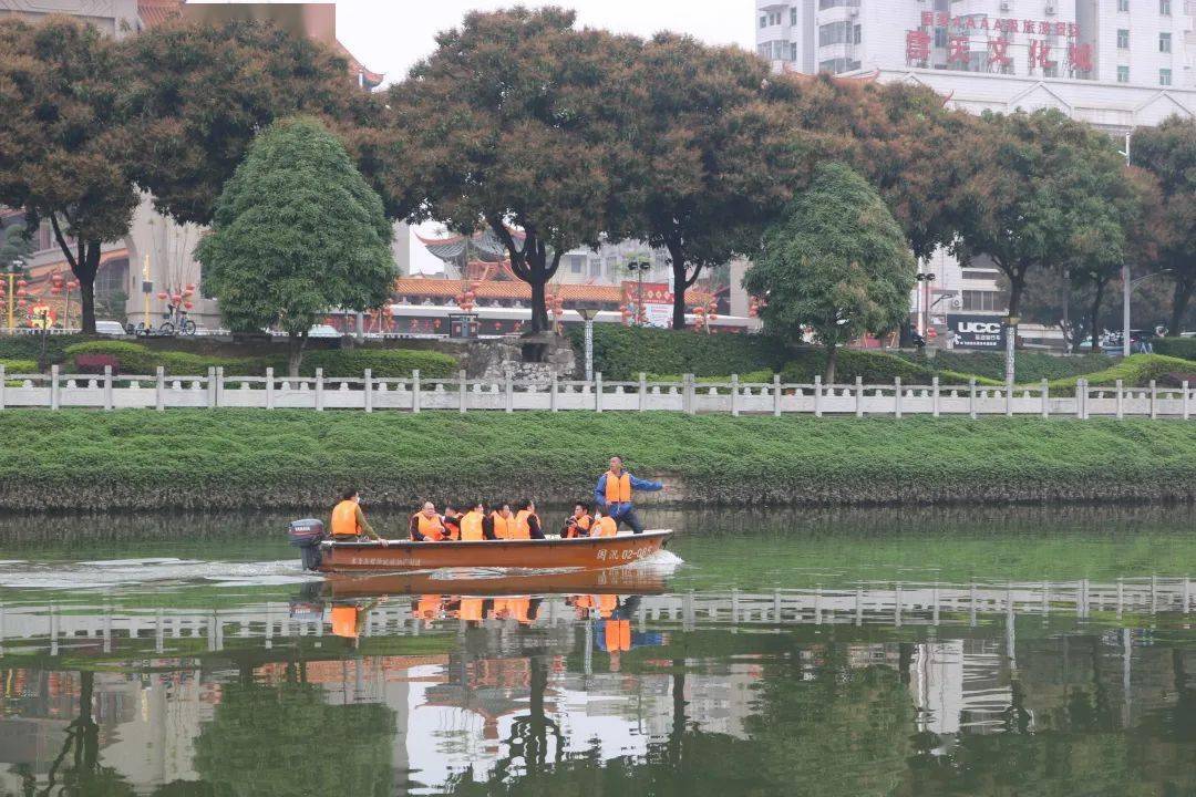 北海市南流江玉石协会：推广和保护南流江玉文化，促进产业交流与合作