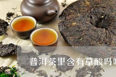 普洱茶里有草酸钾吗？为什么不能喝？