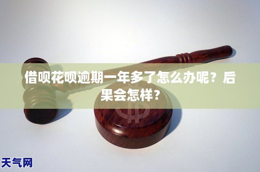 支付宝逾期当地上门如何应对