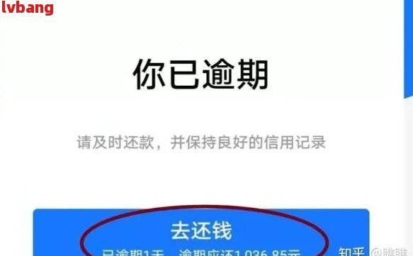 支付宝逾期半年不还了会怎么样