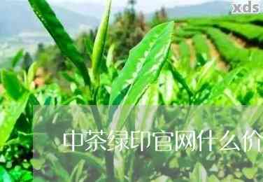 草膦对茶叶有影响吗-草膦对茶叶有影响吗知乎