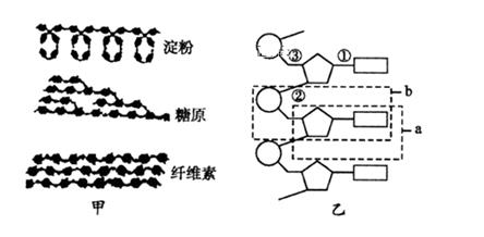 探究和田玉水线的物质构成及其结构与构造关系