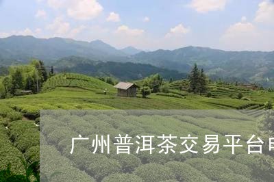 新 广州专业普洱茶交易平台 - 茶文化体验与交易中心