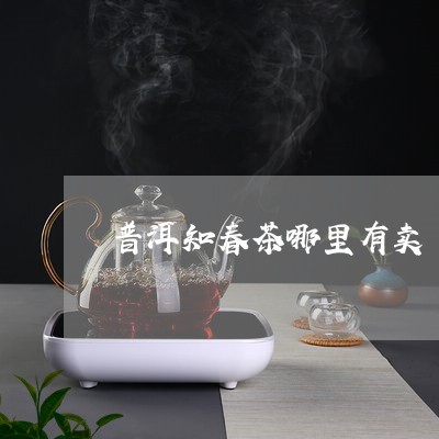 景东属于普洱吗普洱知春茶功效