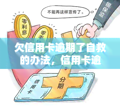 欠信用卡逾期怎么自救有效方法