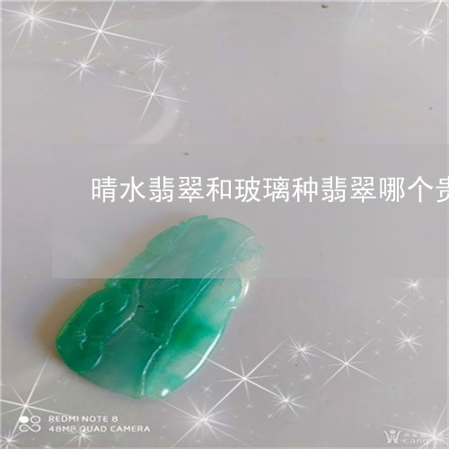 玻璃种翡翠绿色-玻璃种翡翠绿色豆子