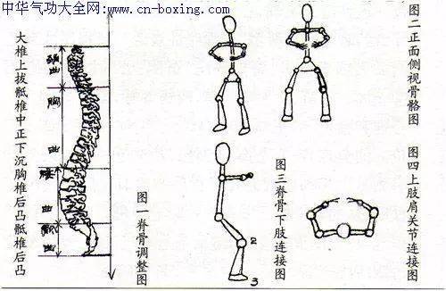 玉人桩练习方法全解：从基本功到高级技巧，一篇教程满足你所有需求