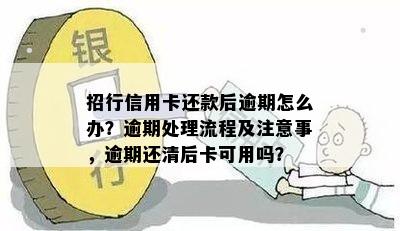 招商信用卡逾期催还处理流程