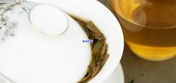 新「普洱茶冲泡艺术：度、时间与风味的完美融合」