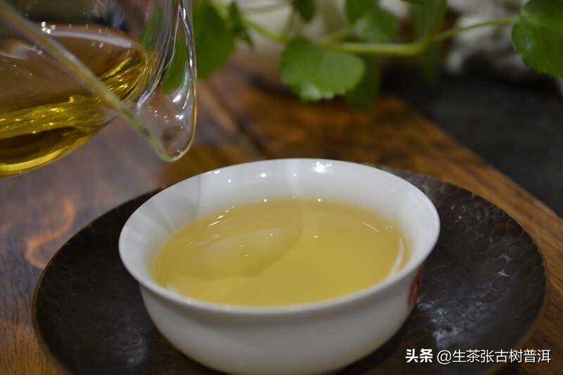 云南双西版纳产的普洱茶：茶香浓，口感醇厚，健益处多