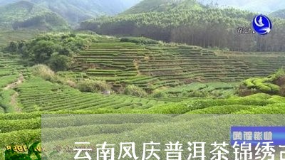 云南临沧凤庆锦绣茶王：品质、历、文化与制作工艺的全面解析