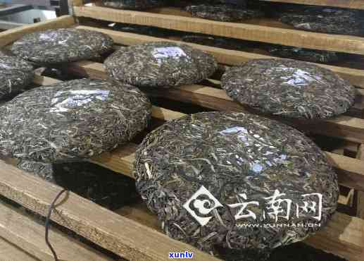 凤庆锦绣古茶价格查询：尊拍卖的古树茶与锦绣茶价格表