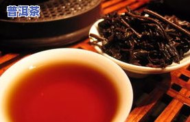 探索普洱茶搭配新趋势：完美茶点组合与不可错过的饮用体验