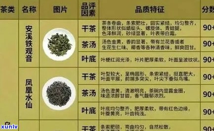 荷韵茶叶品种及价格详解：一文搞定各类茶叶价格信息