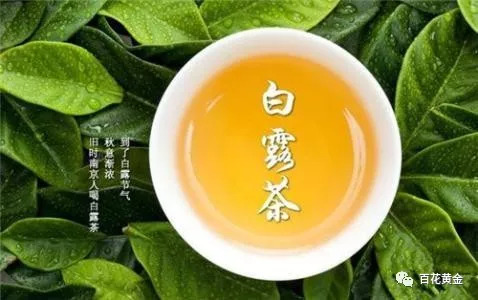 白露茶和春茶的区别：哪个更好？