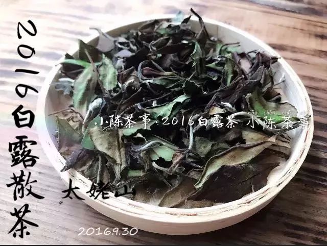 白茶、春茶与白露茶：三大茶类的区别解析