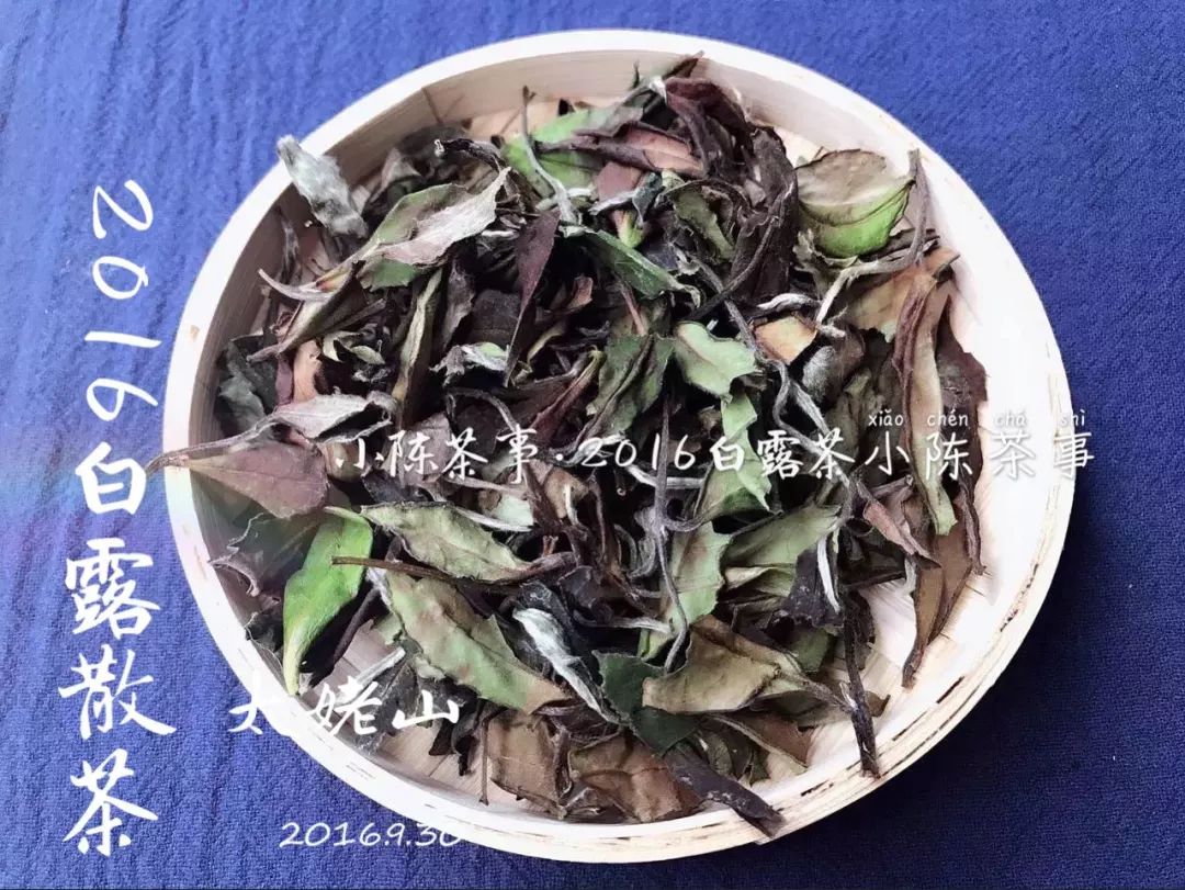 白茶、春茶与白露茶：三大茶类的区别解析