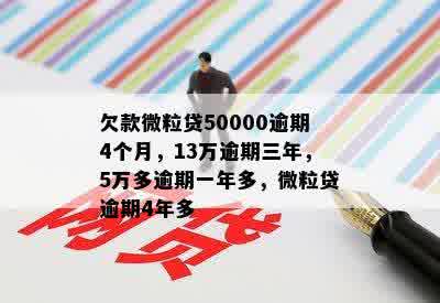 欠微立贷10万