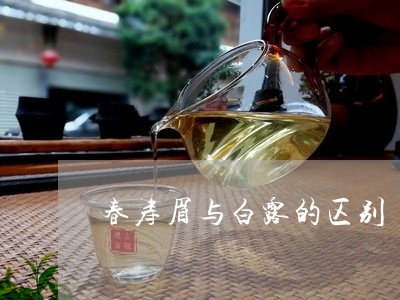 白露茶和春寿眉的区别：如何辨别两者的不同？