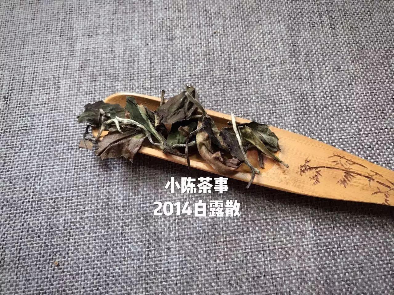 新白露茶与春寿眉的后期转化对比：哪种茶叶更能保持原有风味？