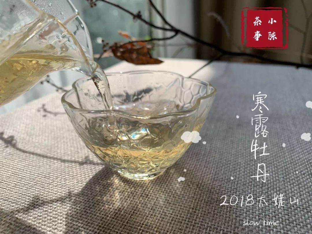 新白露茶与春寿眉的后期转化对比：哪种茶叶更能保持原有风味？